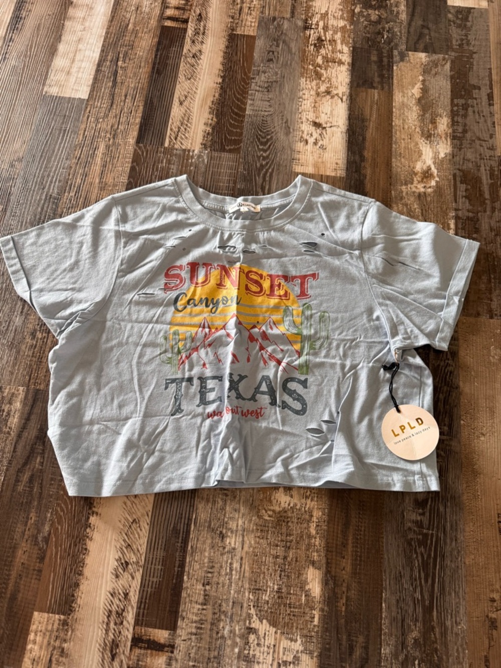 Sunset Canyon Texas Graphic Crop Tee - Light Blue